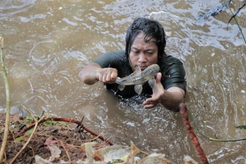 Apakah ikan Sapu-Sapu bisa dimakan