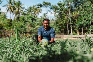 Petani milenial di Pulau Obi menunjukkan hasil panen semangka dari program SENTANI, bukti nyata kolaborasi dengan Harita Nickel yang meningkatkan prod