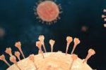 Hantavirus