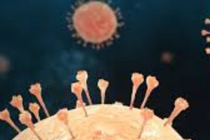 Hantavirus