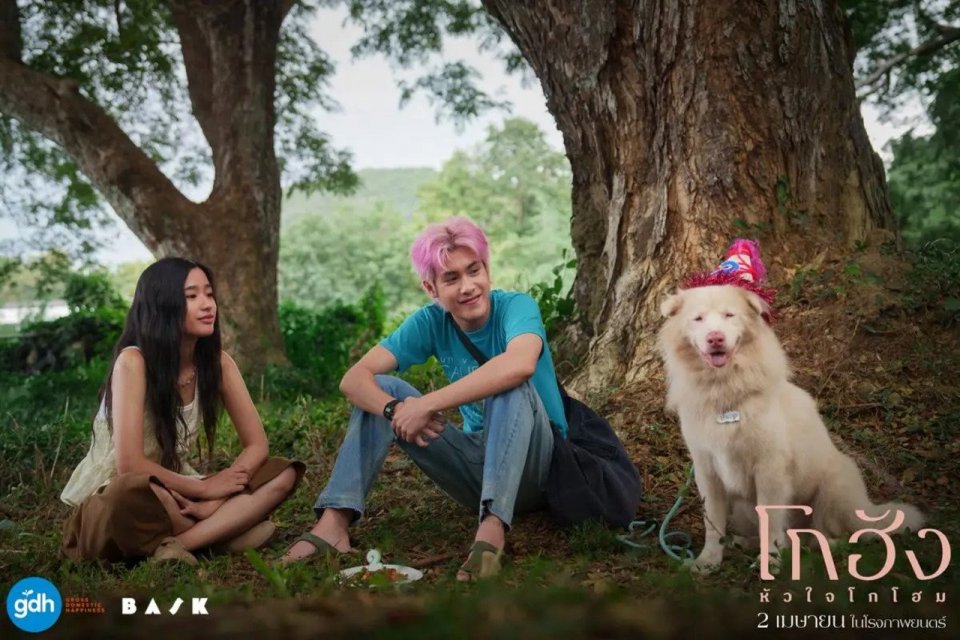 Sinopsis Film Gohan: Kisah Kesetiaan Anjing Liar yang Mengharukan