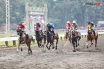 SARGA Indonesia's Horse Racing