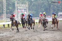 SARGA Indonesia's Horse Racing