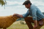 Sinopsis Film The Sheep Detectives