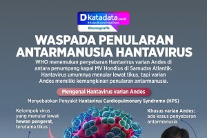 INFOGRAFIK: Waspada Penularan Antarmanusia Hantavirus