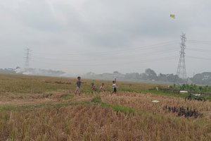 Anak-anak bermain di petak sawah yang baru dipanen di Desa Hegar Mukti, Kabupaten Bekasi Jawa Barat, Senin (18/5)
