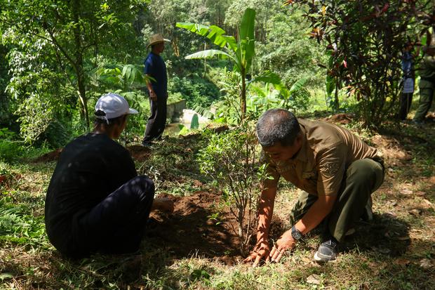 4 Pengelola Hutan Direstui Jual Kredit Karbon, Nilai Transaksi Bisa Tembus Rp5 T
