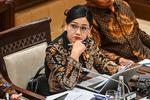 Raker Komisi XI DPR dengan OJK