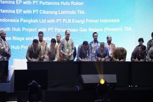 IPA Convex 2026