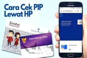 Cara Cek PIP Lewat HP