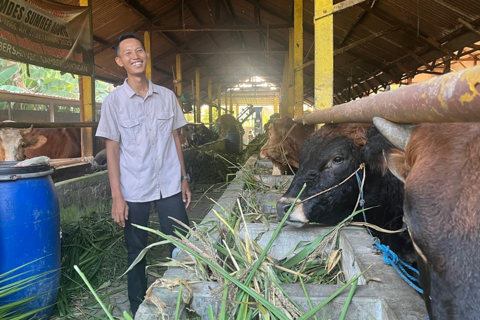 BI Koperasi Tani Ternak Literasi, Desa Sumbersari, Lamongan, binaan Bank Indonesia mengembangkan kandang komunal terintegrasi untuk memperkuat pasokan pangan dan meningkatkan pendapatan warga.