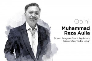 Muhammad Reza Aulia