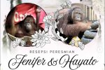 Perjodohan Orangutan Kalimantan di Jepang