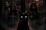 Sinopsis Film Kucing Hitam