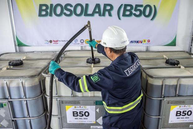 IESR Minta Pemerintah Kaji Ulang B50, Tekankan Elektrifikasi Lebih Efektif