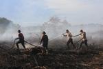 Karhutla di Aceh Barat meluas