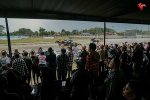 Indonesia’s Horse Racing (IHR)