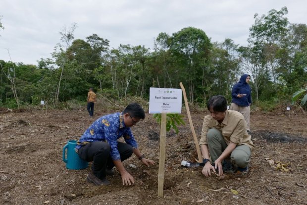 Restorasi Batang Toru Fokus pada Upaya Lindungi Habitat Orang Utan Tapanuli