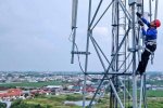 PT Bach Multi Global Tbk (BACH)