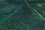 Perkebunan Sawit di Cileungsi