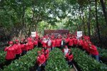 Telkomsel Tanam Pohon Mangrove 