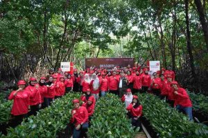 Telkomsel Tanam Pohon Mangrove 