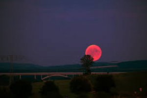 Fenomena Strawberry Moon
