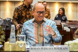 Raker Komisi XI DPR dengan Danantara