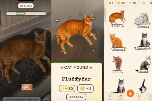 Catchcat 