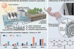 Ilustrasi Sistem Desalinasi