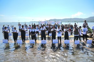 Mangrove Freeport di NTB 