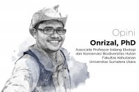 Onrizal, PhD