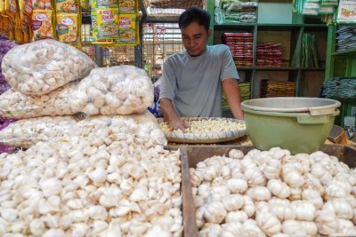 Kenaikan Harga Bawang Putih Imbas Melemahnya Nilai Tukar Rupiah (Foto: Katadata/Fauza Syahputra)