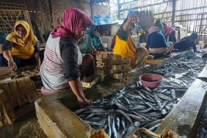 Produksi ikan pindang di Pati