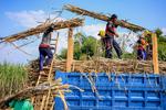 Percepatan program peremajaan tebu nasional