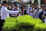 Inovasi produk pertanian karya bangsa