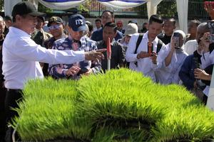 Inovasi produk pertanian karya bangsa