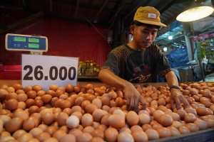 Harga Telur dan Daging Ayam Kembali Stabil (Foto: Katadata/Fauza Syahputra)