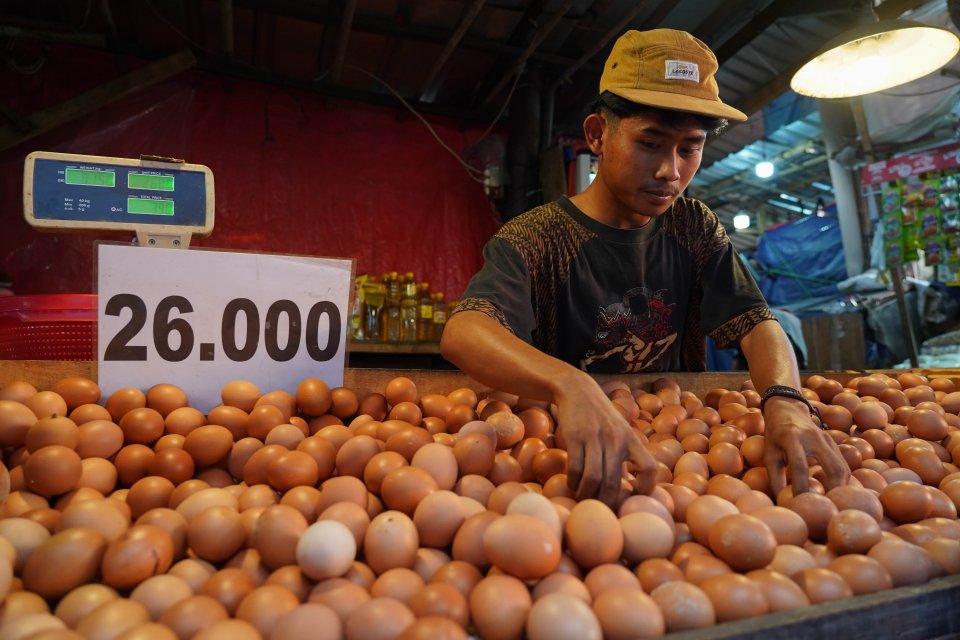 Harga Telur dan Daging Ayam Kembali Stabil (Foto: Katadata/Fauza Syahputra)