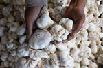 Stabilisasi harga bawang putih