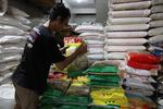 Pemerintah perkuat stok beras hadapi El Nino