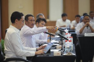 Mentan Andi Amran Sulaiman
