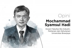 Mochammad Syamsul Hadi