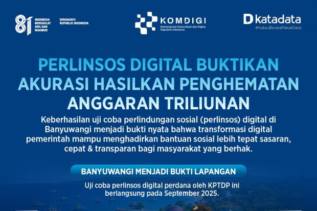 Perlinsos Digital Infografik 4