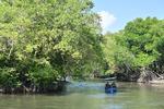 Peringatan Hari Mangrove Sedunia 2026