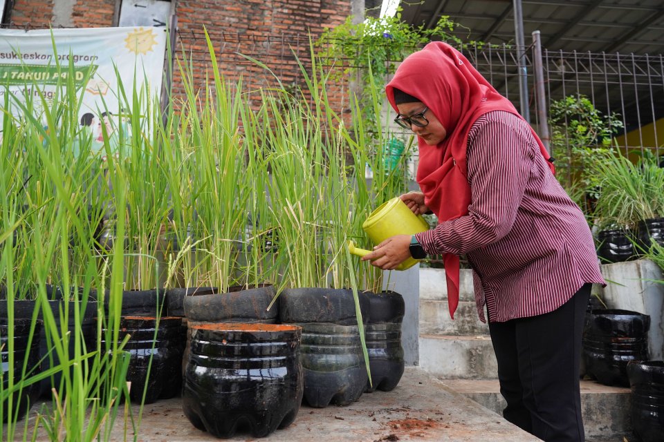 Jaga Lingkungan dan Ketahanan Pangan dengan Budi Daya Padi di Galon Bekas (Foto: Katadata/Fauza Syahputra)