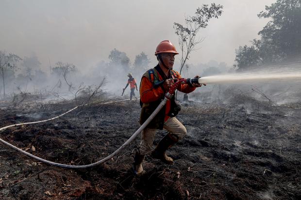 Hotspot Tembus 4.000 Titik, RI Masuk Bulan Kritis Kebakaran Hutan hingga TPA
