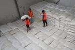Proyeksi produksi beras nasional capai 28,71 juta ton