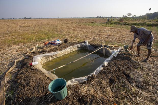 WFP: Penduduk Rawan Pangan Akut Bisa Tembus 274 Juta Terdongkrak El Nino