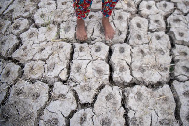 Ancaman El Nino Terkuat dalam Sejarah: 66 Kabupaten Berstatus Awas Kekeringan